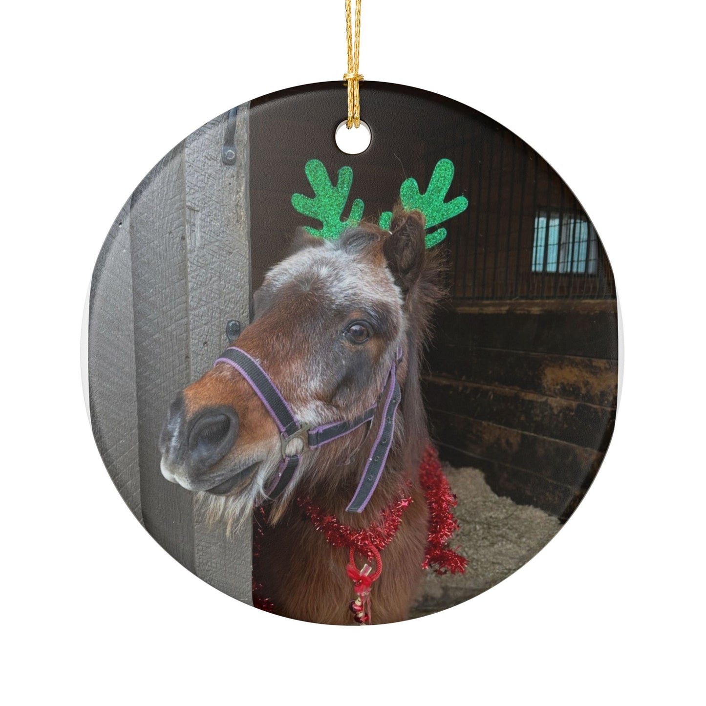 Reindeer Horse Photo Ceramic Ornament | Round Christmas Decoration