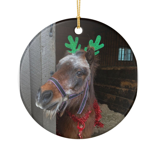 Reindeer Horse Photo Ceramic Ornament | Round Christmas Decoration