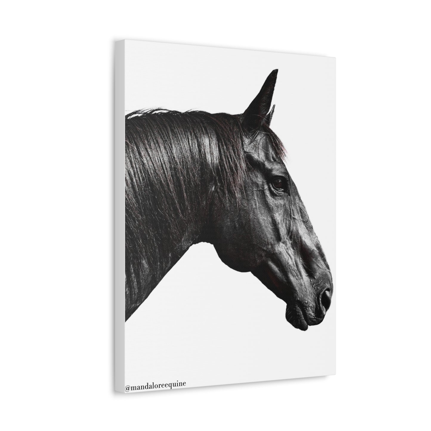 Stretched Canvas